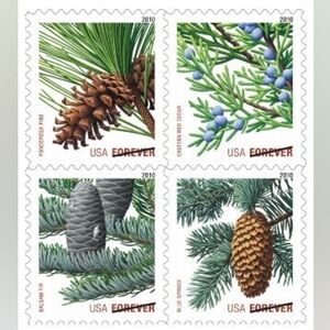 100 Holiday‎ Evergreen 2010 USPS Forever Postage Stamps Postal  Wedding Invites